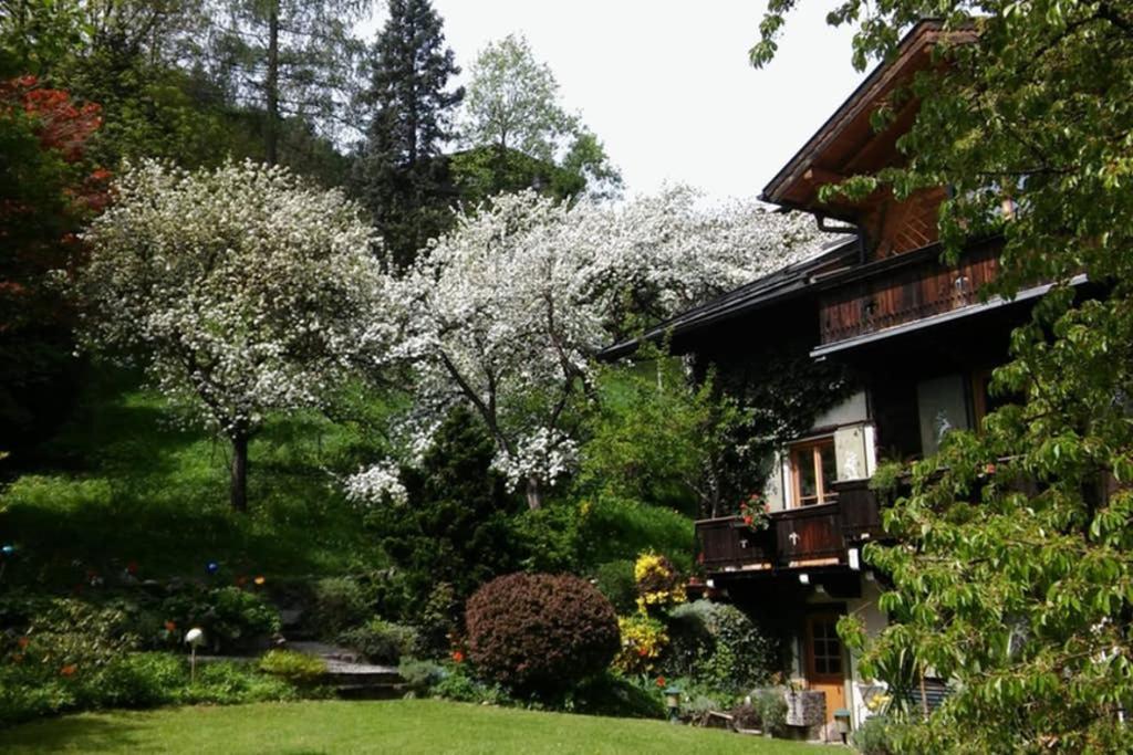 Haus Weidmannsheil - Wohnen Im Romantischen Forsthaus Werfen Esterno foto
