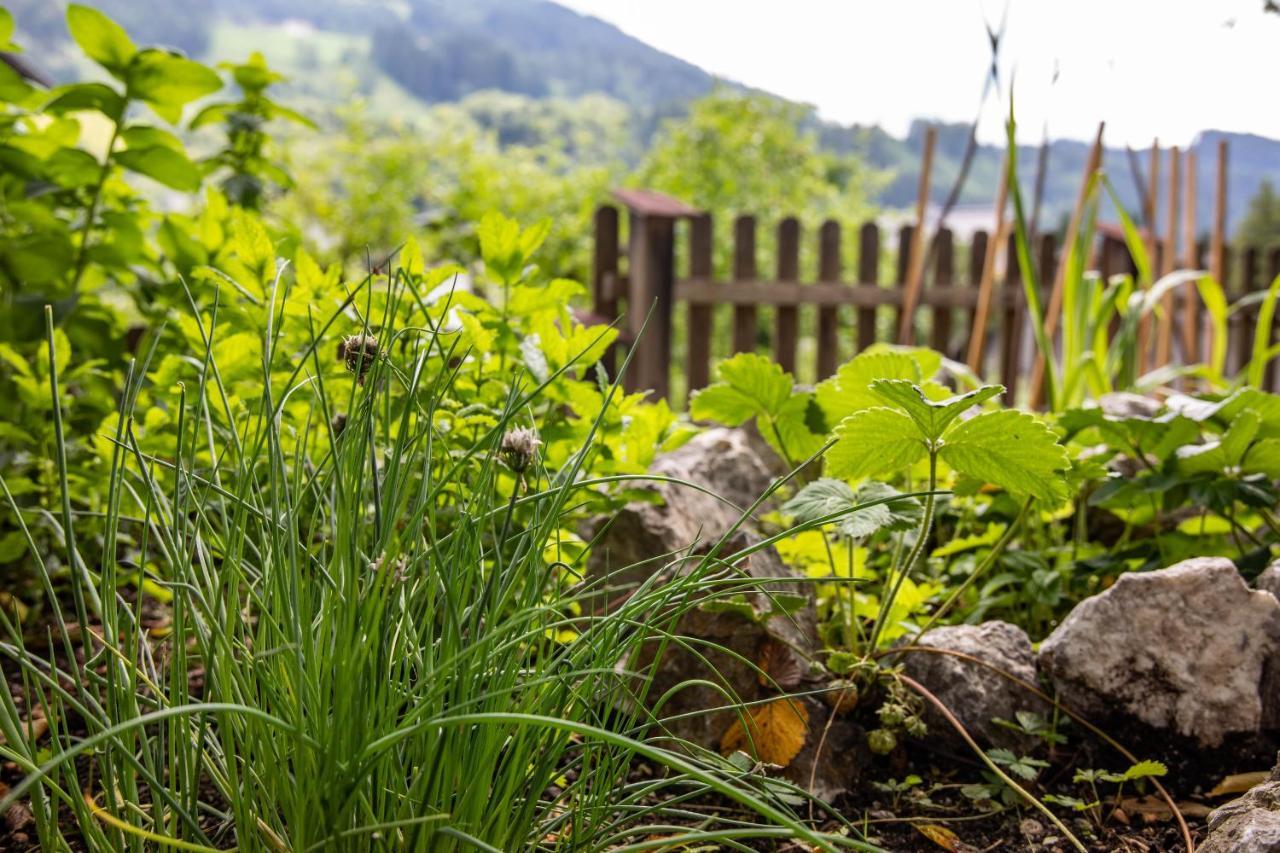 Haus Weidmannsheil - Wohnen Im Romantischen Forsthaus Werfen Esterno foto